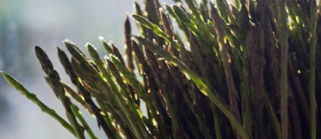 coloursofistria.com GnamSparoge